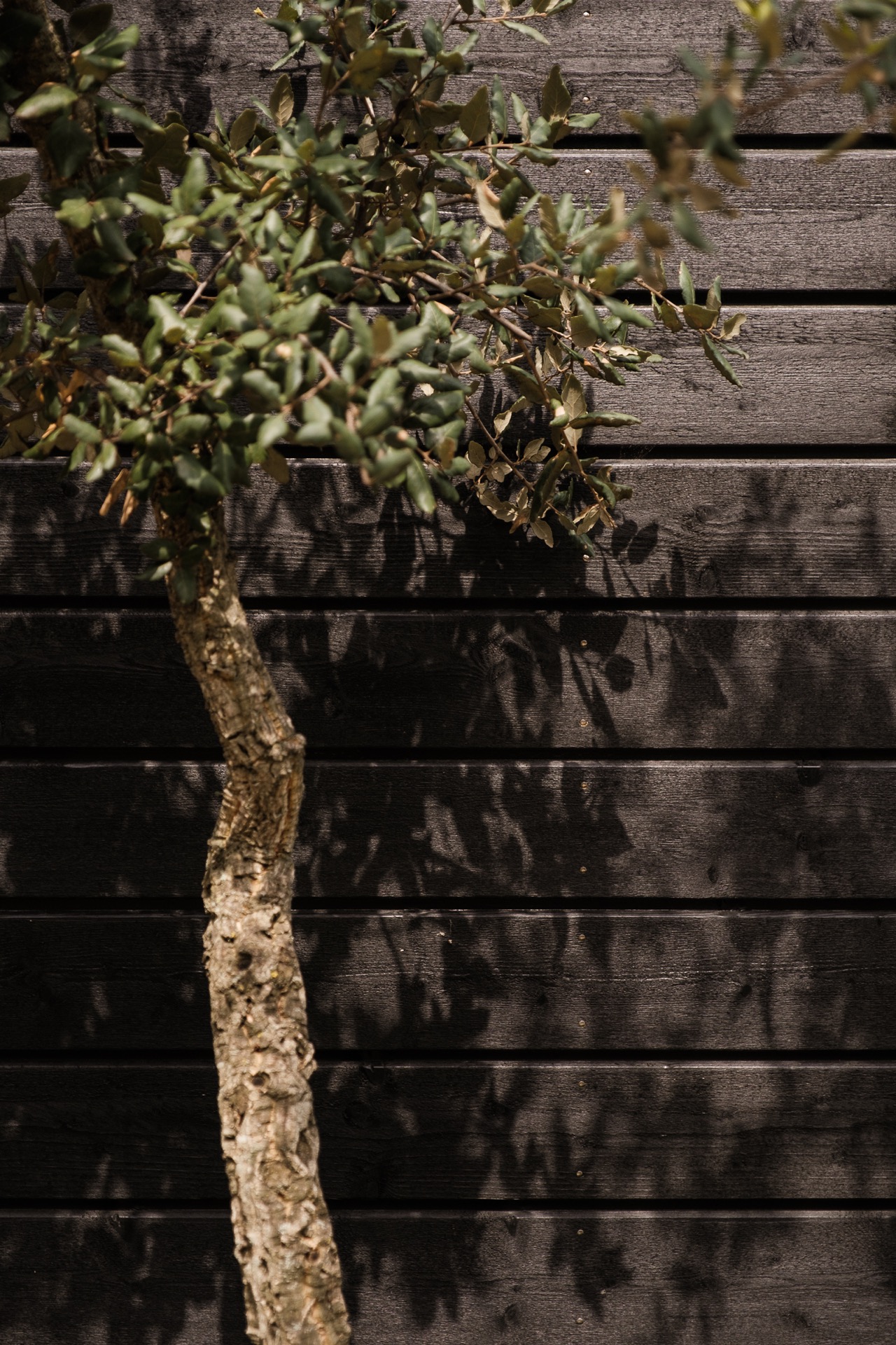 idee di giardini urbani moderni, Luxury, Design, Exclusive, Modern, Custom Made, Special, Beautiful
