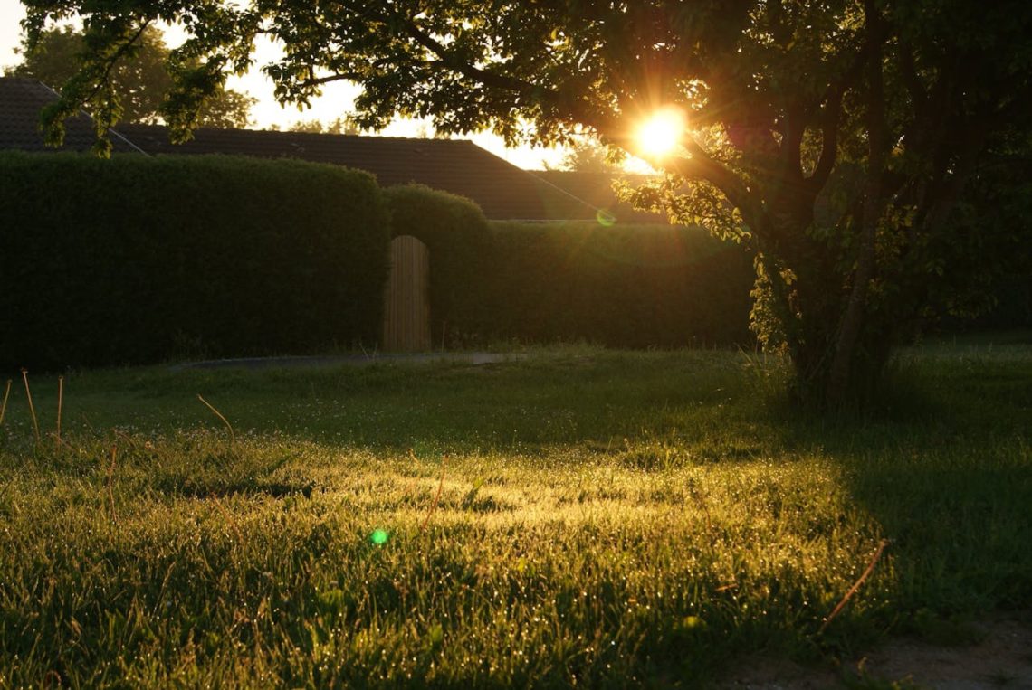 Maak van je tuin een sfeervolle plek: praktische tips