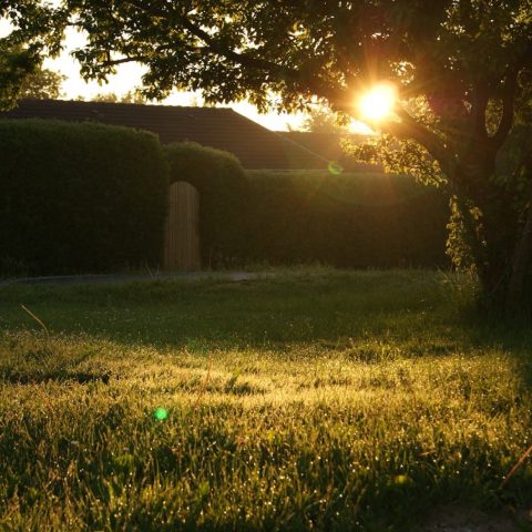 Maak van je tuin een sfeervolle plek: praktische tips