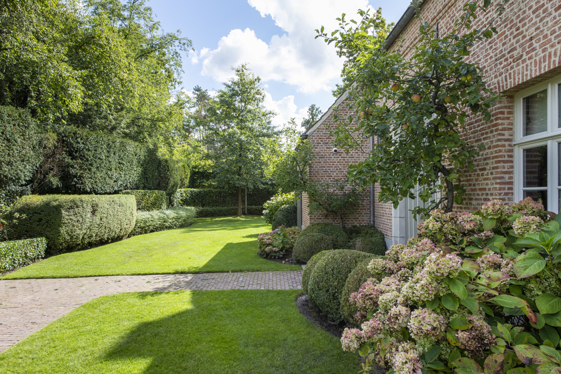 giardino con stagno: giardino con sentieri di mattoni, cespugli verdi e alberi, vicino a una casa., Luxury, Design, Exclusive, Modern, Custom Made, Special, Beautiful
