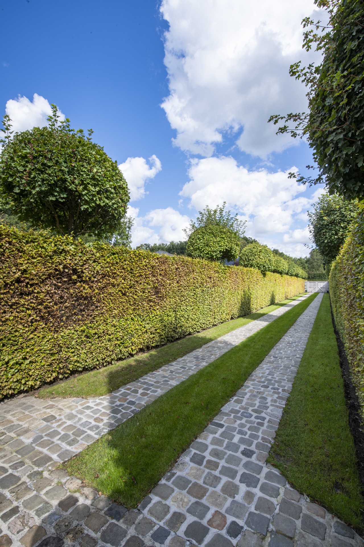 giardino con stagno: siepi e sentieri in ghiaia sotto cielo blu con nuvole, Luxury, Design, Exclusive, Modern, Custom Made, Special, Beautiful