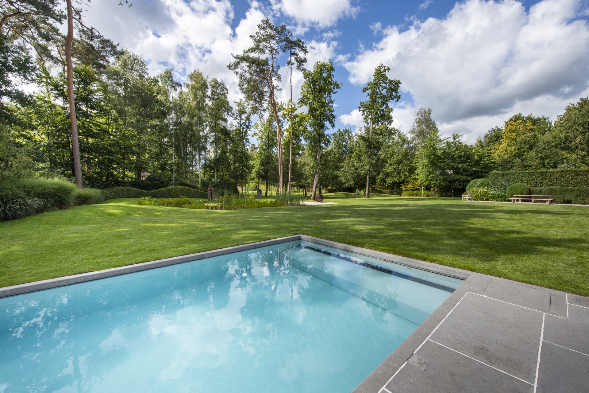 giardino con stagno: laghetto in giardino con ninfee e pesci, circondato da erba e alberi, in un ambiente naturale., Luxury, Design, Exclusive, Modern, Custom Made, Special, Beautiful