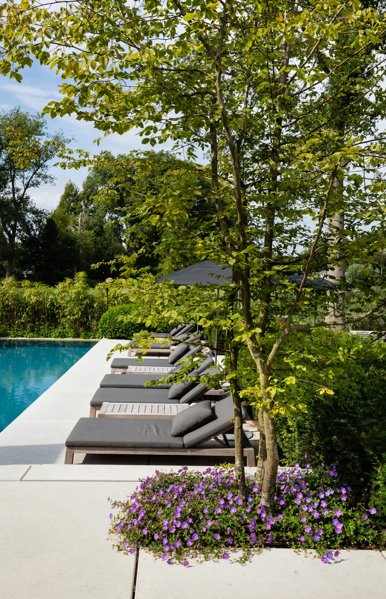 design giardino moderno: giardino con lettini e piscina in ambiente rurale, Luxury, Design, Exclusive, Modern, Custom Made, Special, Beautiful