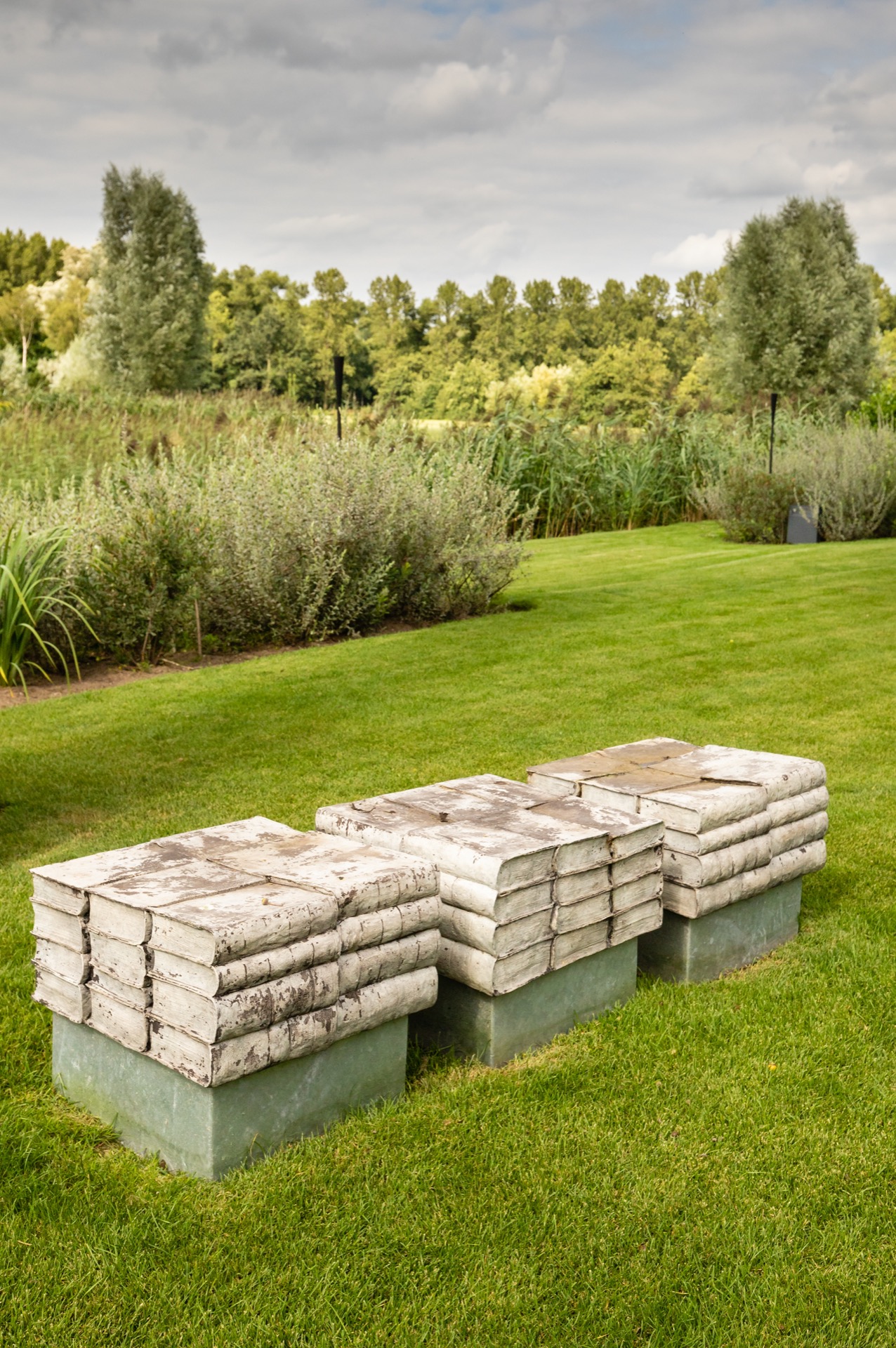 design giardino moderno: sentiero da giardino in cemento con aiuole di piante, Luxury, Design, Exclusive, Modern, Custom Made, Special, Beautiful
