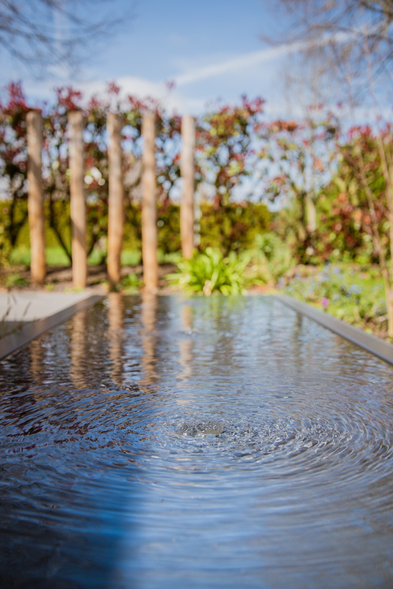 idee giardini moderni: goccia d'acqua in fontana nel giardino moderno, riflesso del cielo, Luxury, Design, Exclusive, Modern, Custom Made, Special, Beautiful