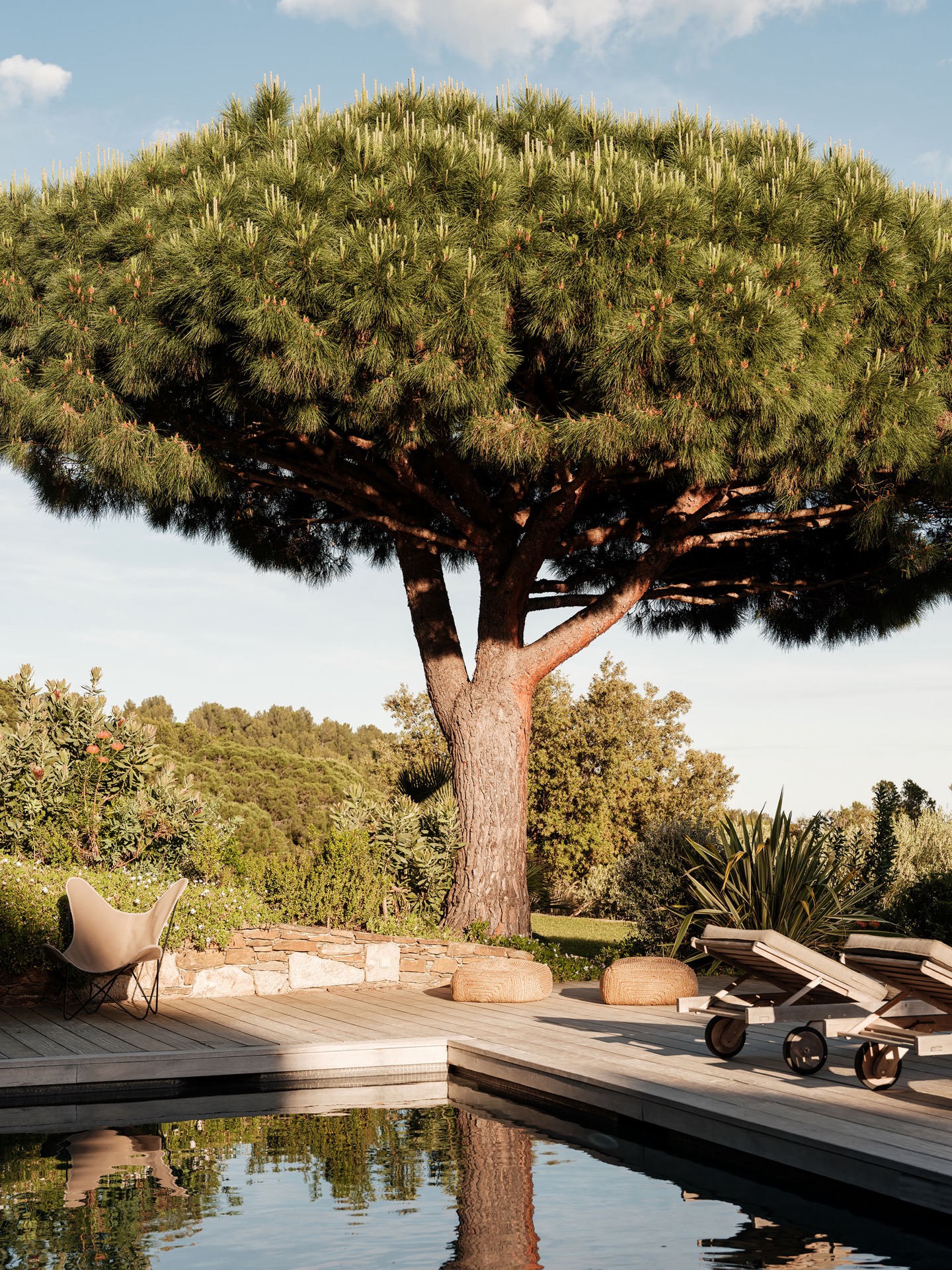 materiali naturali casa: grande pino con terrazza in legno e sedie a sdraio nel giardino, Luxury, Design, Exclusive, Modern, Custom Made, Special, Beautiful