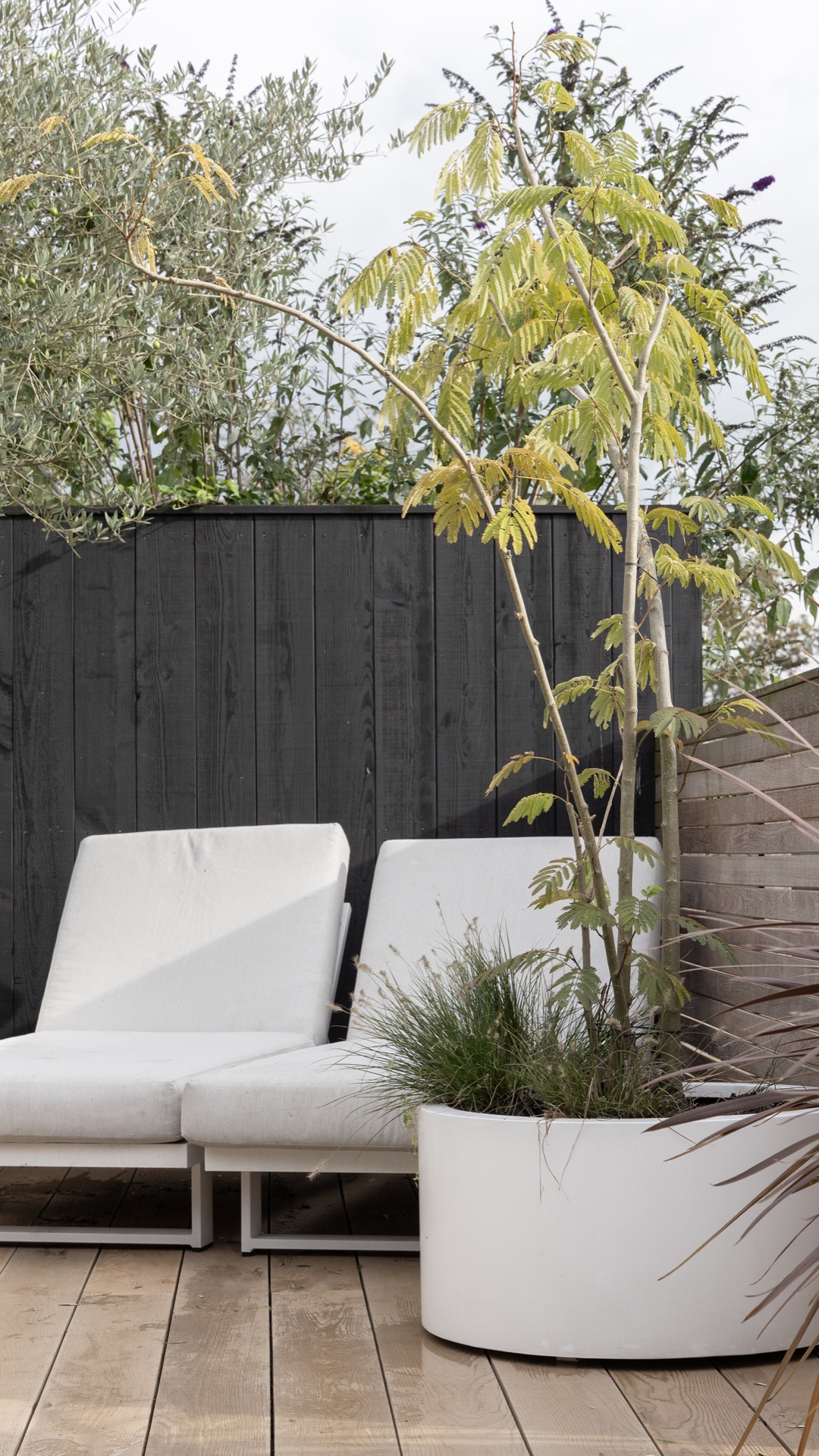 giardino moderno con plungepool: giardino con piante e terrazza in legno per relax, Luxury, Design, Exclusive, Modern, Custom Made, Special, Beautiful