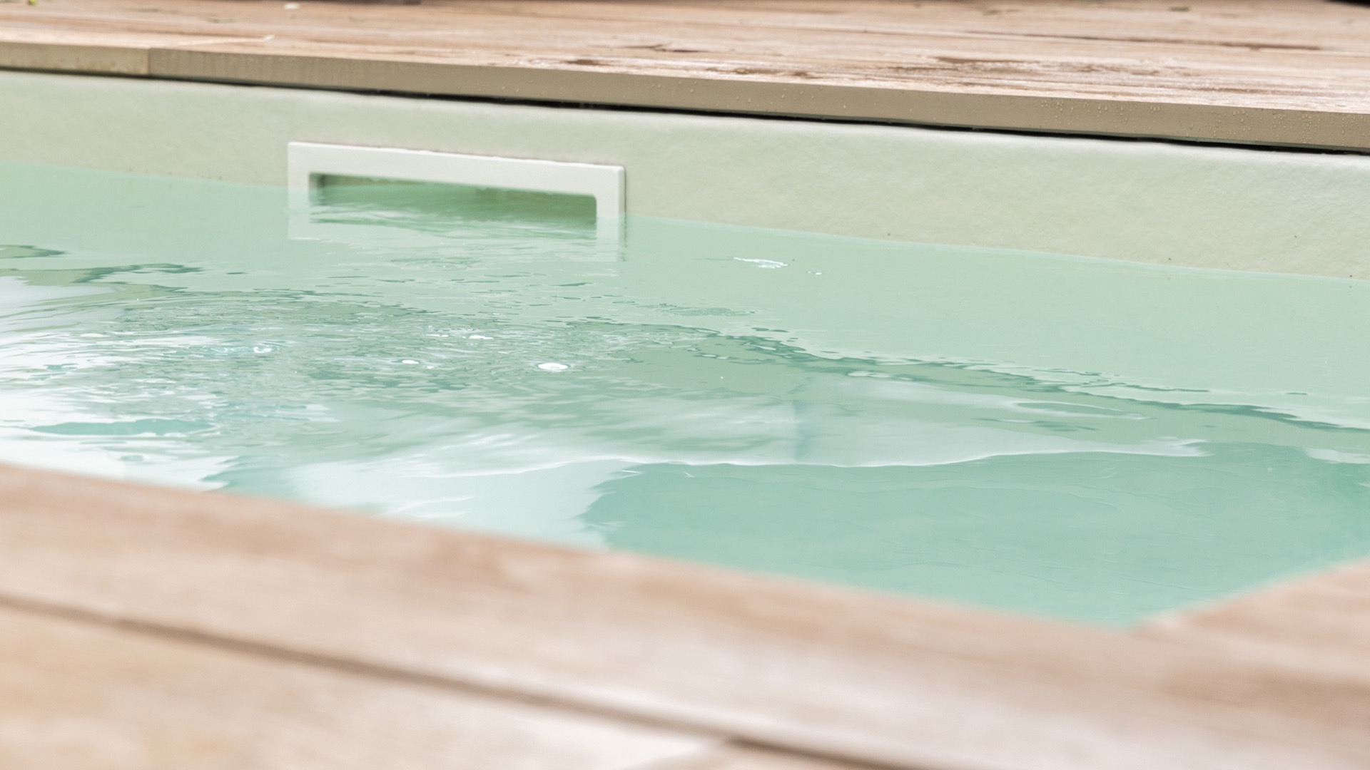 giardino moderno con plungepool: primo piano dell'acqua della piscina e bordo in legno, Luxury, Design, Exclusive, Modern, Custom Made, Special, Beautiful