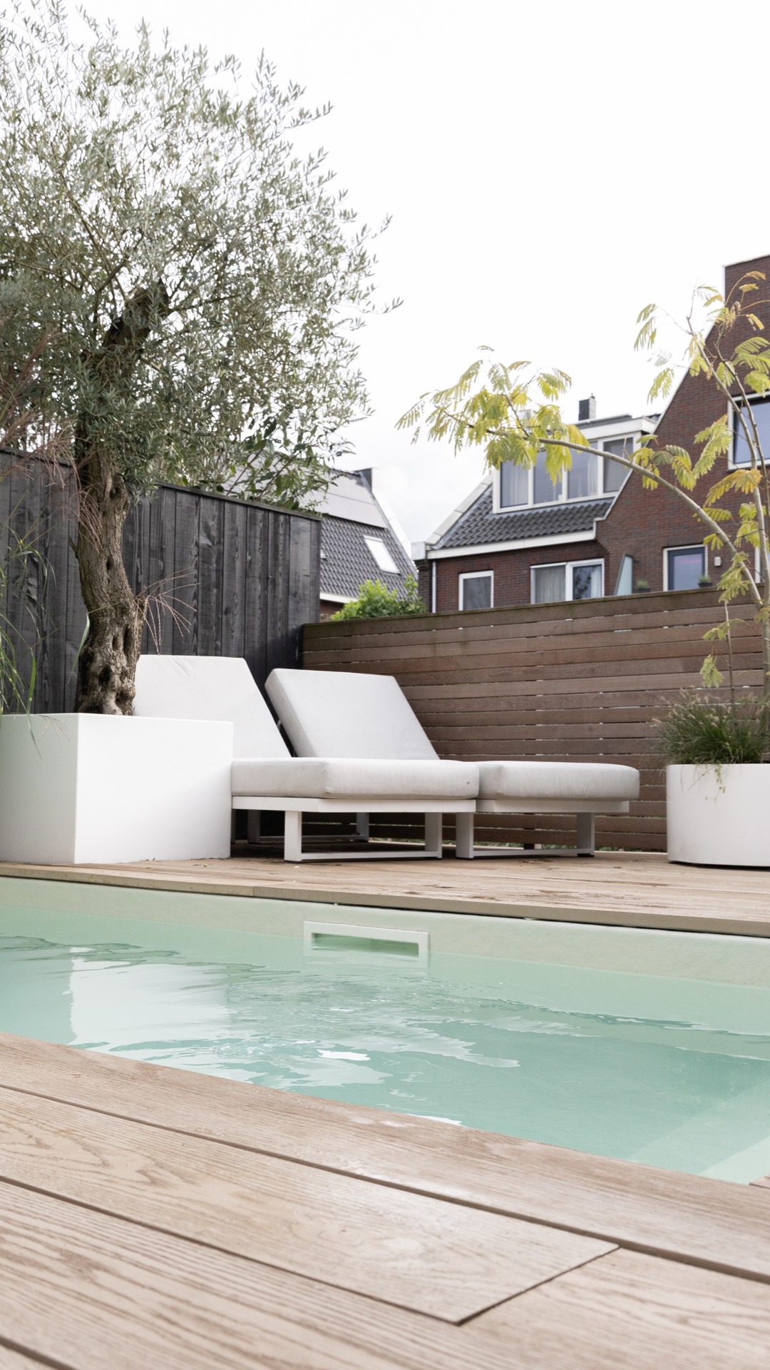 giardino moderno con plungepool: giardino con panche, alberi e terrazza, Luxury, Design, Exclusive, Modern, Custom Made, Special, Beautiful
