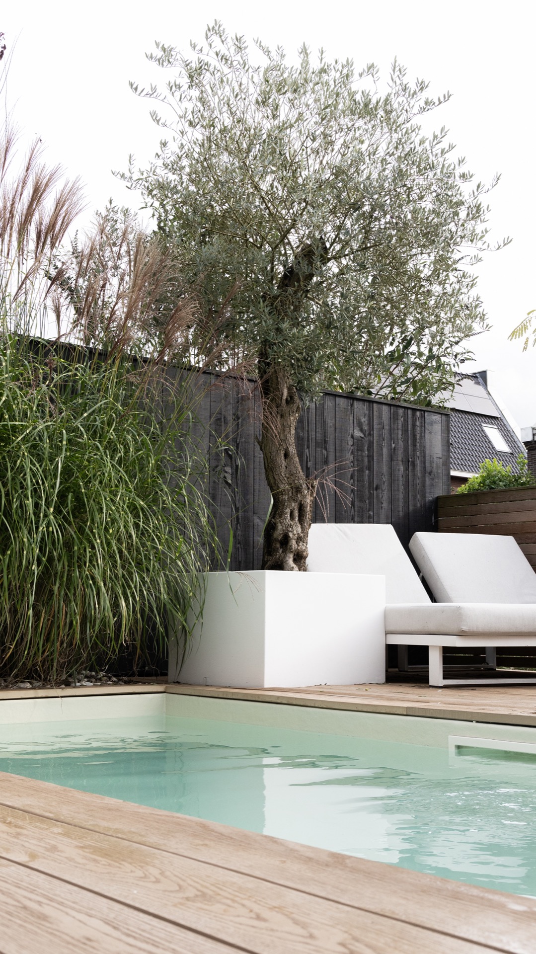 giardino moderno con plungepool: piscina con deck in legno e lettini, circondata da piante e alberi., Luxury, Design, Exclusive, Modern, Custom Made, Special, Beautiful