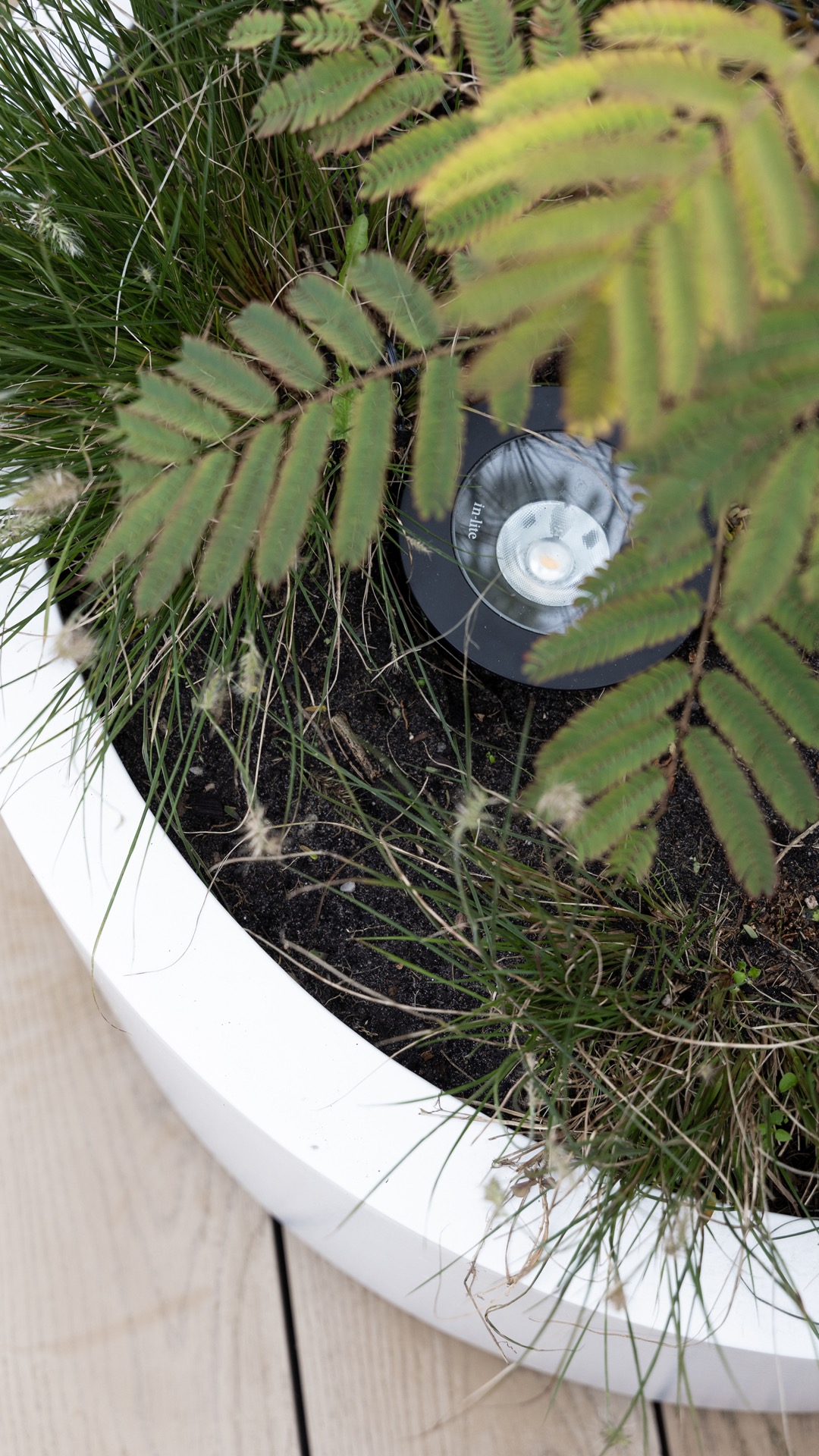 giardino moderno con plungepool: grande vaso da giardino bianco con piante rigogliose, design moderno., Luxury, Design, Exclusive, Modern, Custom Made, Special, Beautiful