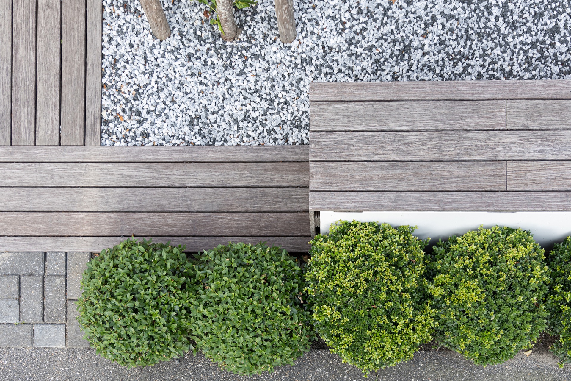 idee giardino moderne: deck in legno e siepi verdi in un giardino moderno, Luxury, Design, Exclusive, Modern, Custom Made, Special, Beautiful