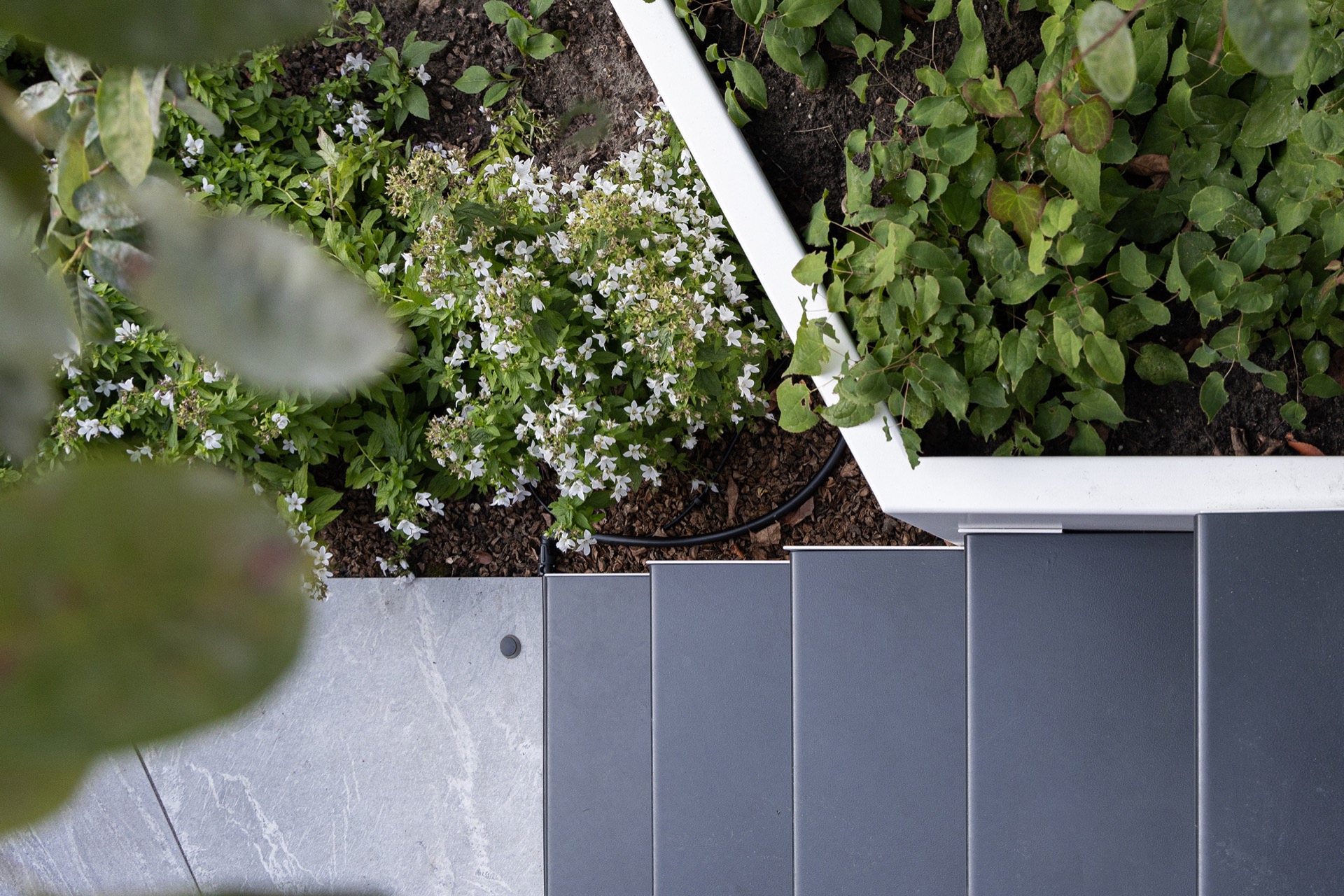 idee giardino moderne: piastrella con piante lungo il percorso, linee dritte e piante, Luxury, Design, Exclusive, Modern, Custom Made, Special, Beautiful