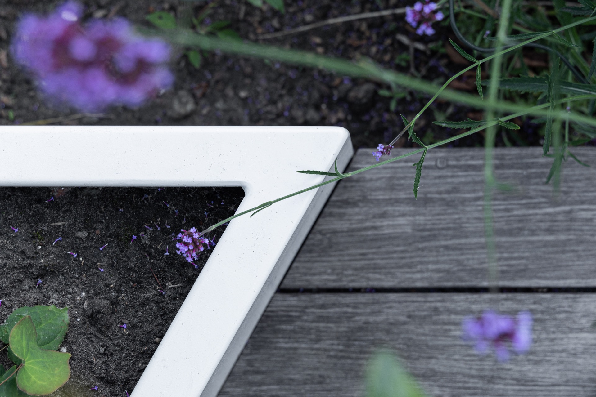 idee giardino moderne: elemento d'acqua con fiori in giardino, design naturale., Luxury, Design, Exclusive, Modern, Custom Made, Special, Beautiful