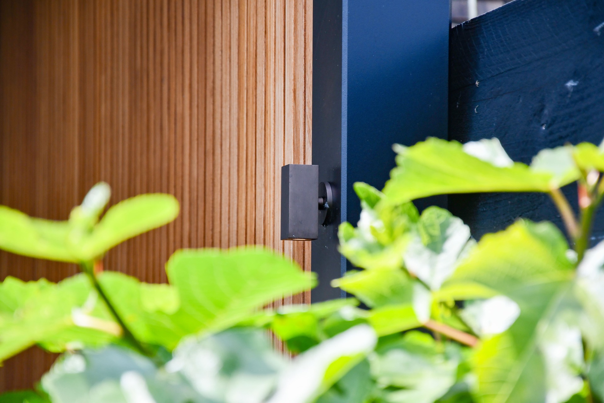 spazio esterno coperto: telecamera di sicurezza sulla facciata in legno con piante verdi, Luxury, Design, Exclusive, Modern, Custom Made, Special, Beautiful