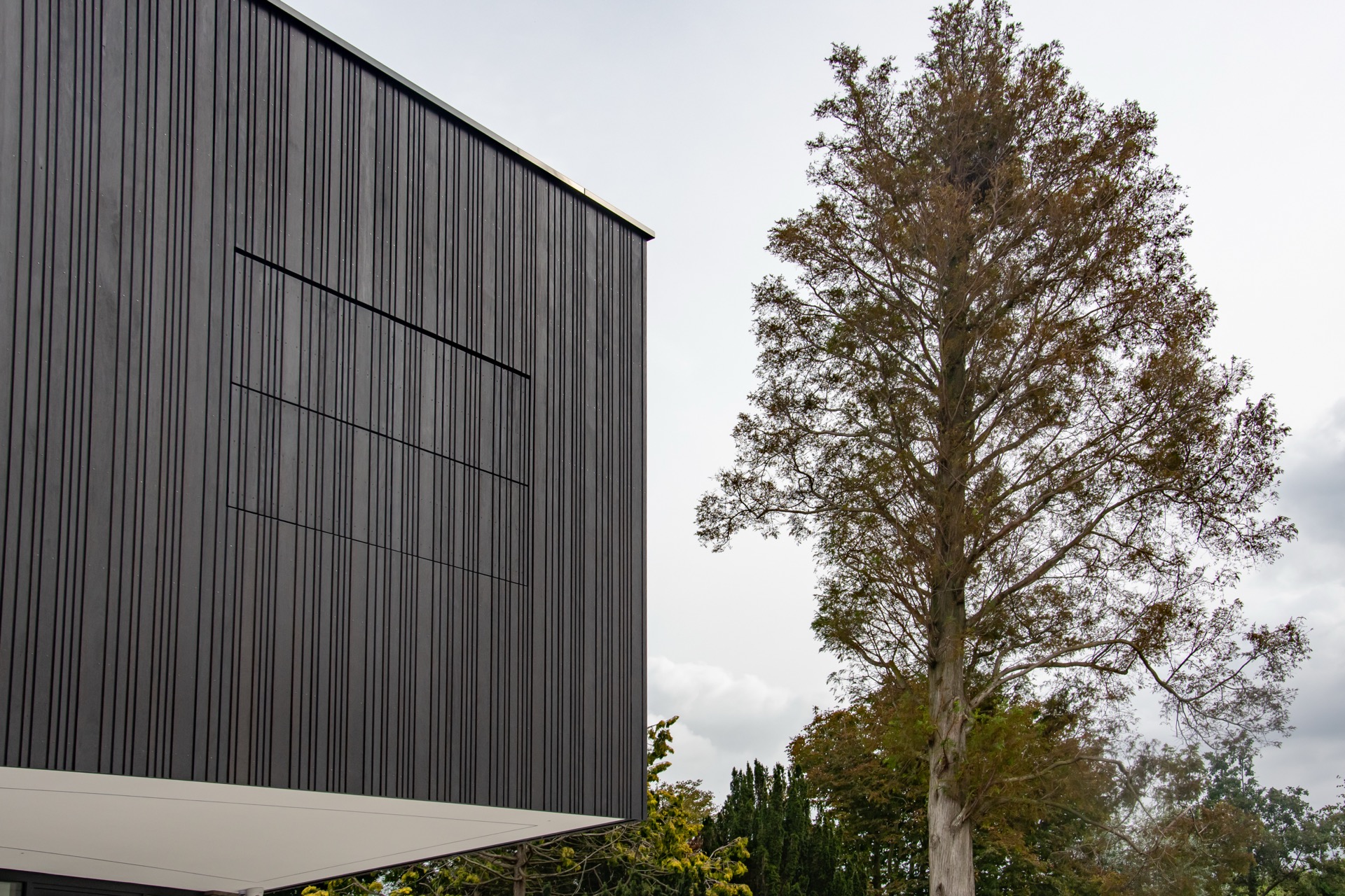 rivestimento facciata: facciata con rivestimento in legno verticale e grande finestra, Luxury, Design, Exclusive, Modern, Custom Made, Special, Beautiful