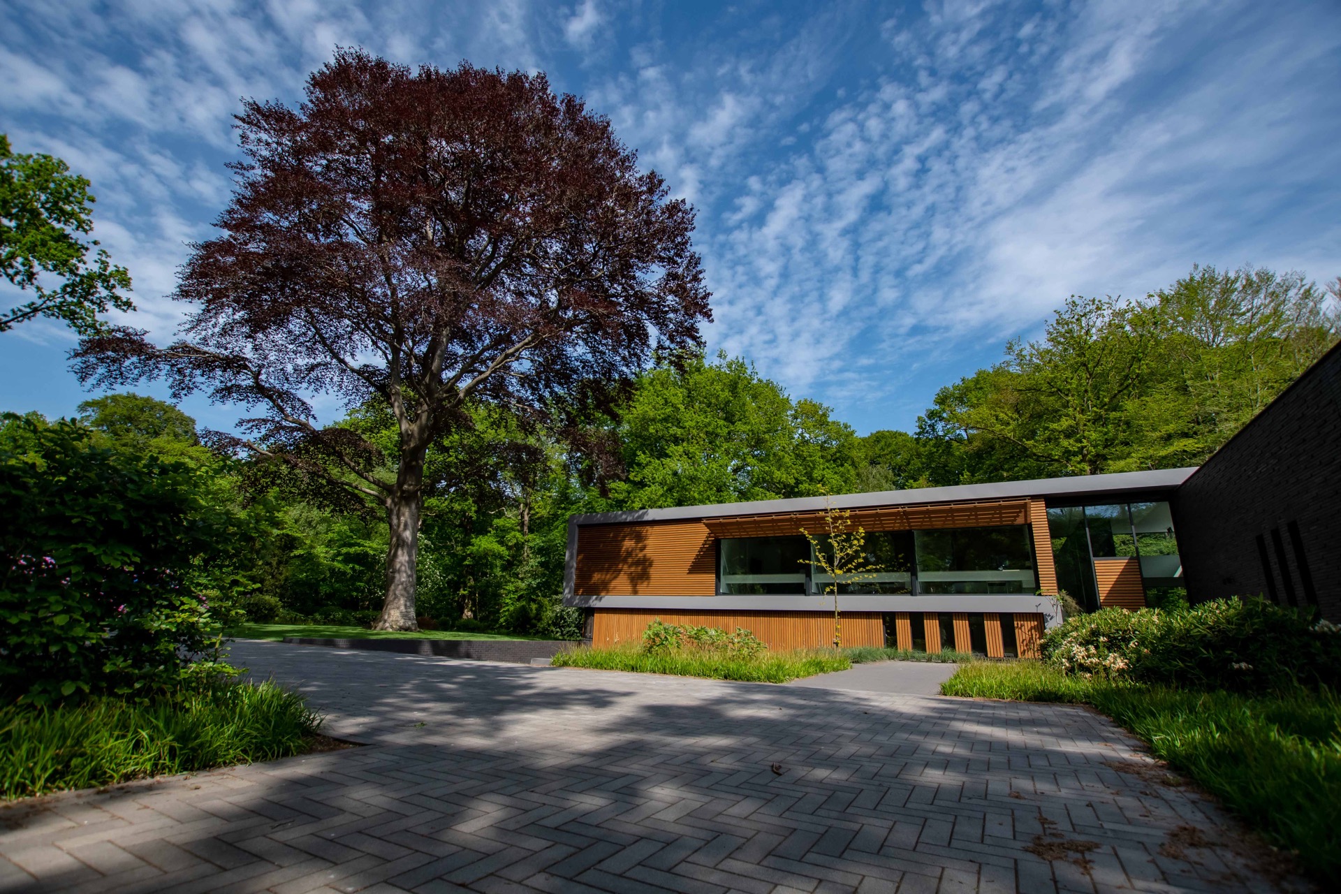 finitura moderna in legno e vetro: albero grande di fronte a una casa moderna, immerso nel verde., Luxury, Design, Exclusive, Modern, Custom Made, Special, Beautiful