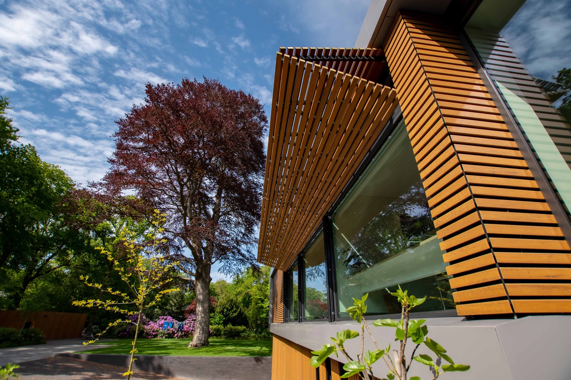 finitura moderna in legno e vetro: edificio in legno moderno con grandi finestre e aspetto naturale, Luxury, Design, Exclusive, Modern, Custom Made, Special, Beautiful