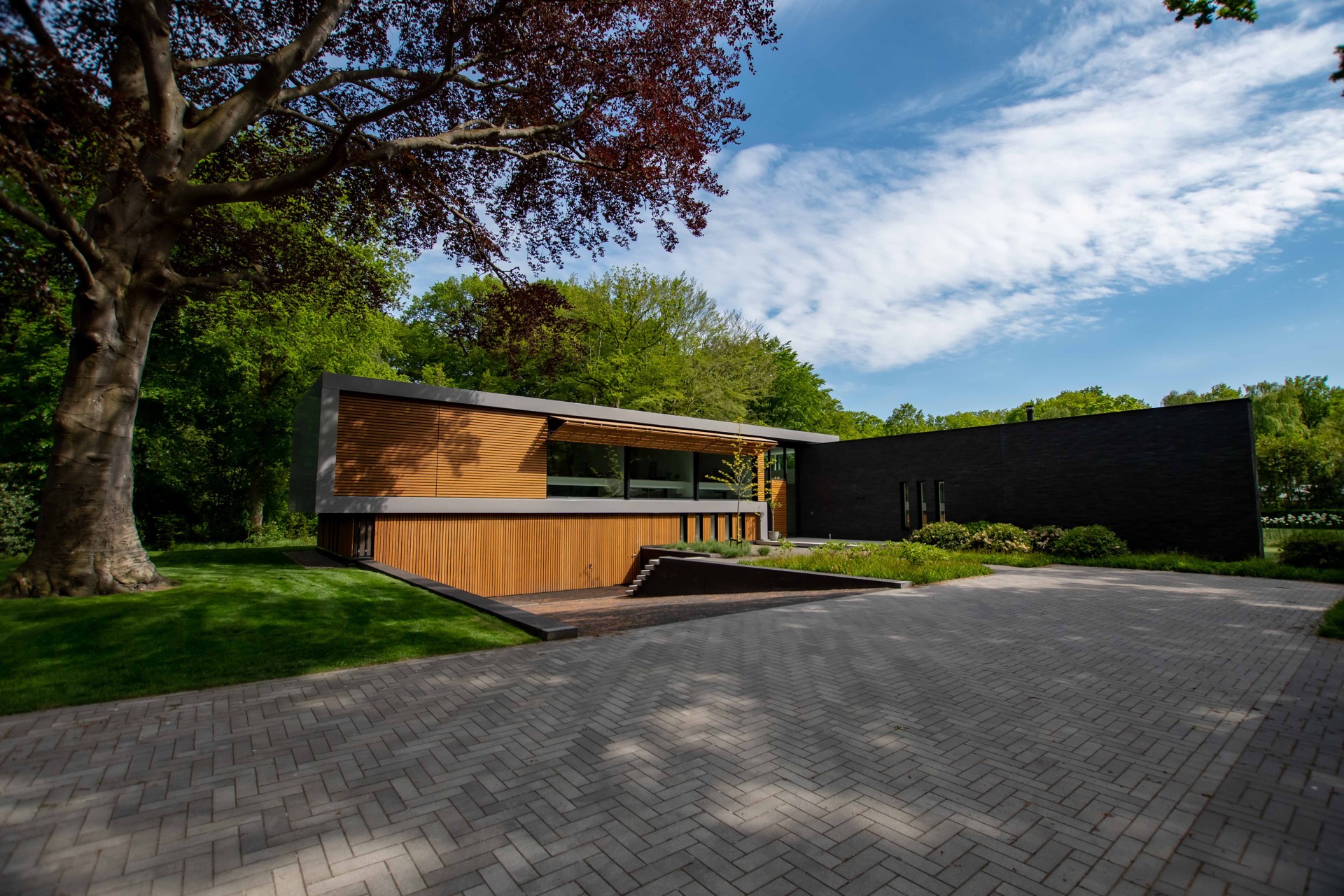 finitura moderna in legno e vetro: edificio moderno con facciate in legno e scure e ambienti verdi, Luxury, Design, Exclusive, Modern, Custom Made, Special, Beautiful