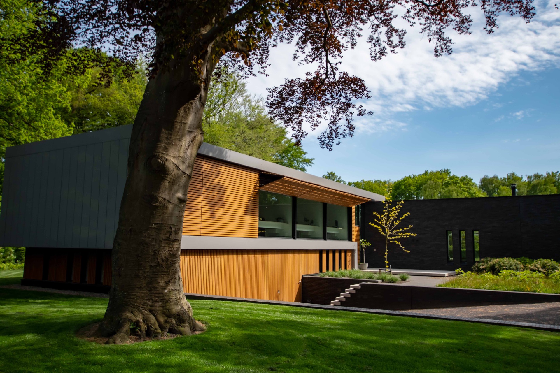 finitura moderna in legno e vetro: casa moderna con facciata in legno e grandi finestre, circondata da vegetazione., Luxury, Design, Exclusive, Modern, Custom Made, Special, Beautiful
