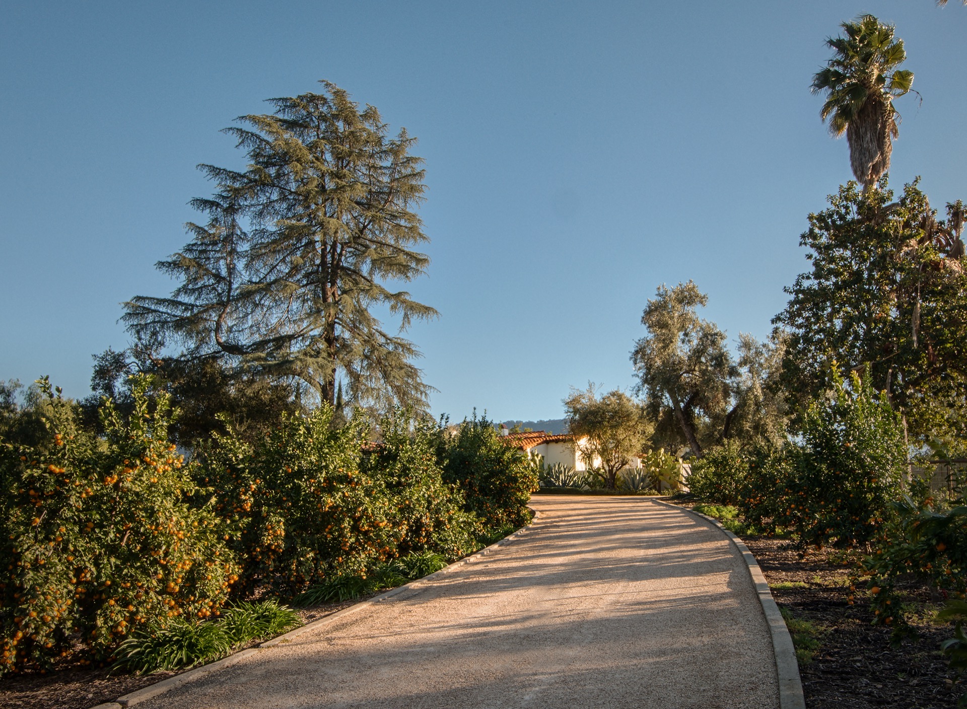 interni eclettici: sentiero di ghiaia curvo circondato da piante verdi e alberi sotto un cielo azzurro., Luxury, Design, Exclusive, Modern, Custom Made, Special, Beautiful