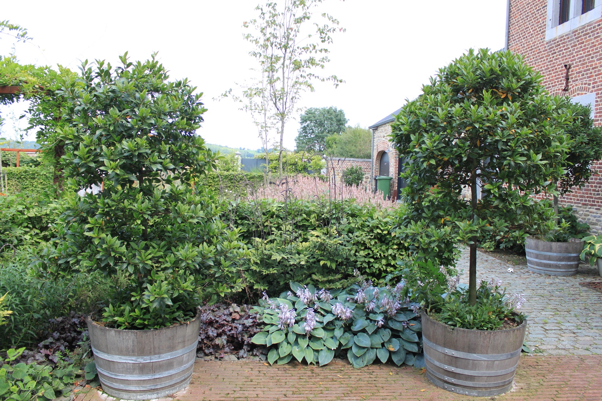 fontana da giardino: grande vaso con arbusto verde nel giardino di campagna, Luxury, Design, Exclusive, Modern, Custom Made, Special, Beautiful
