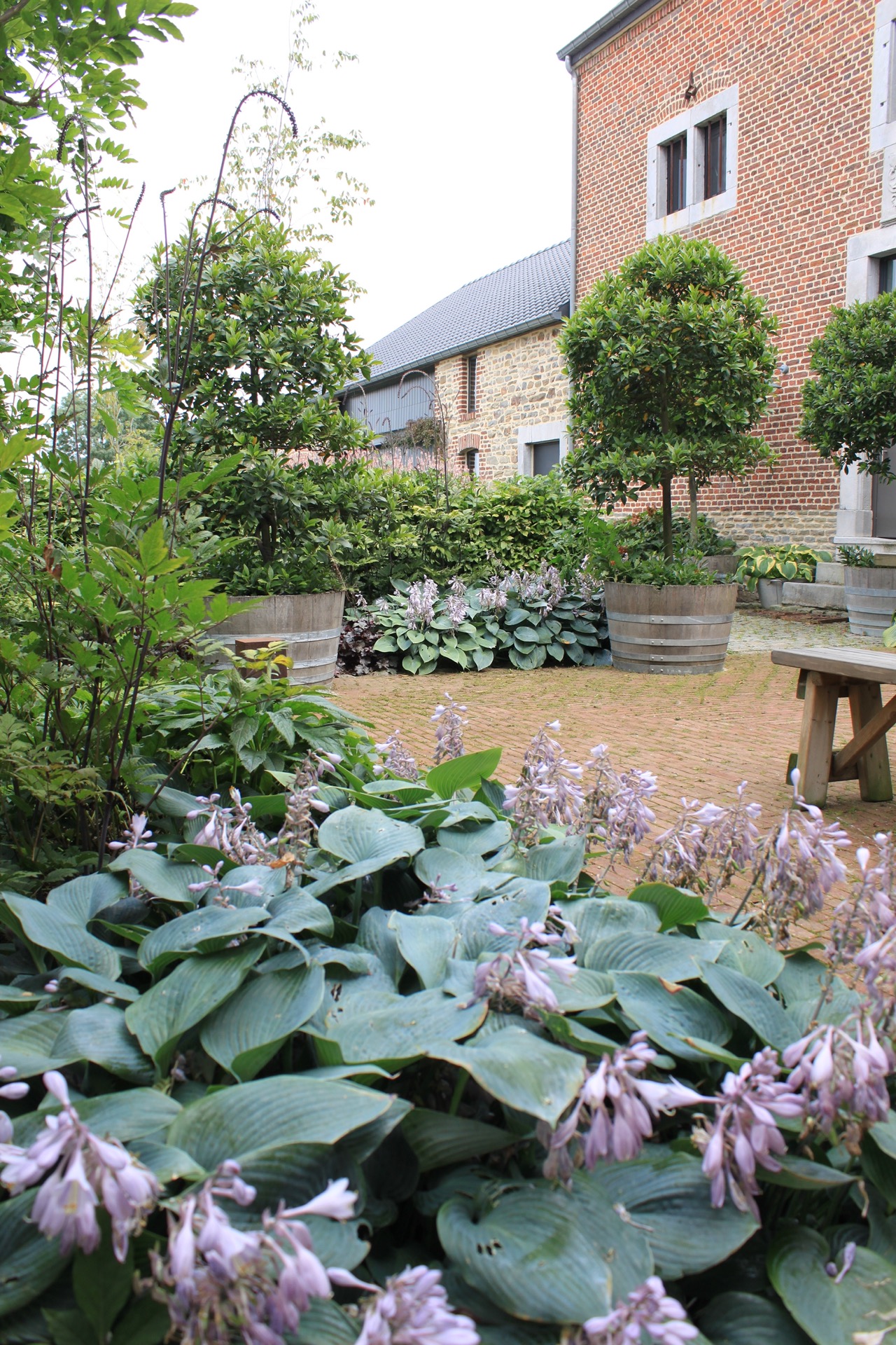 fontana da giardino: cortile con grandi vasi, alberi e terrazza, Luxury, Design, Exclusive, Modern, Custom Made, Special, Beautiful