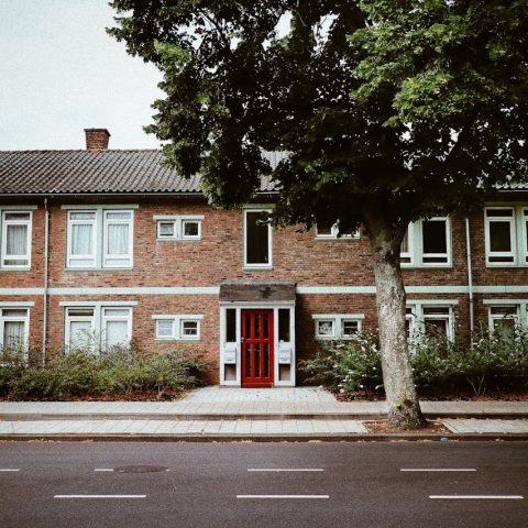Ontdek deze opties voor stijlvolle dakbedekking