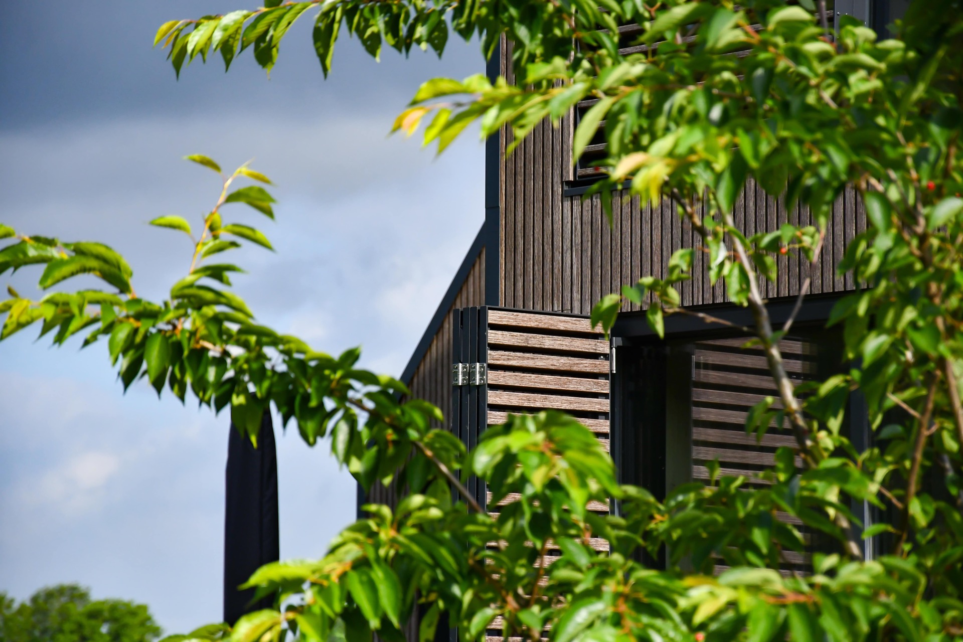 rivestimento in legno per pareti: casa con facciata in legno, grandi finestre e protezione solare, Luxe, Design, Exclusief, Modern, Maatwerk, Bijzondere, Mooie