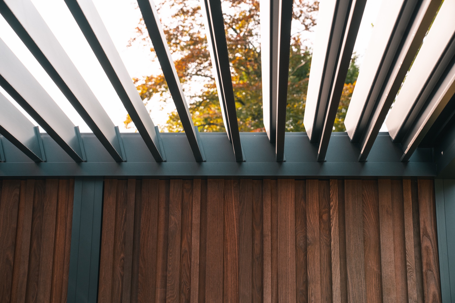 rivestimento in legno per pareti: prospettiva della terrazza con area seduta e piante verdi, Luxury, Design, Exclusive, Modern, Custom Made, Special, Beautiful