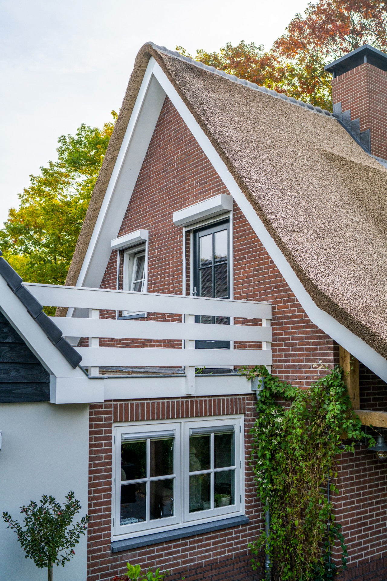 rivestimento in legno per pareti: retro della casa con giardino e pavimentazione decorativa, piantagione e ingresso, Luxury, Design, Exclusive, Modern, Custom Made, Special, Beautiful