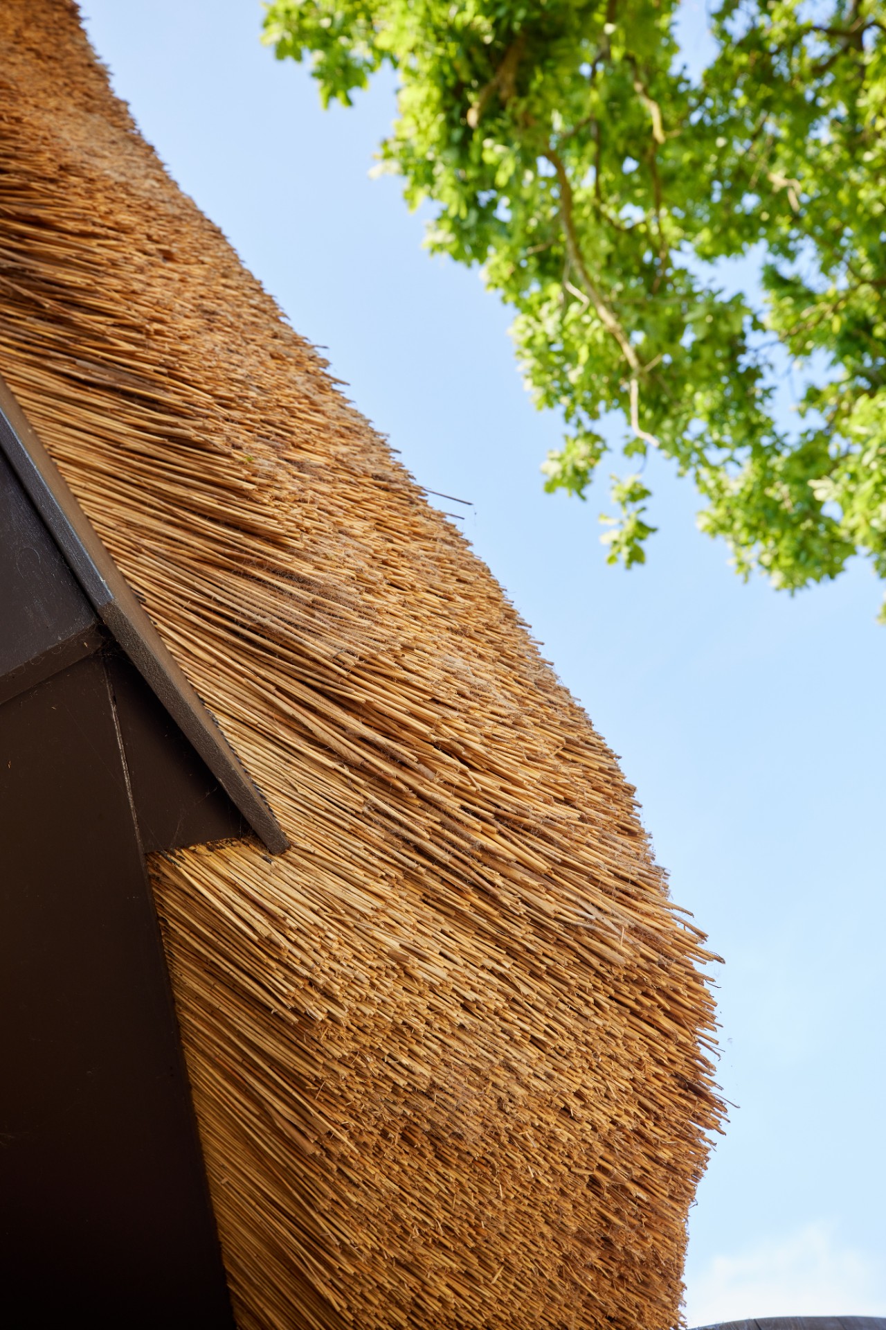 rivestimento in legno per pareti: dettaglio ravvicinato del tetto di paglia che mostra artigianato e struttura, Luxury, Design, Exclusive, Modern, Custom Made, Special, Beautiful