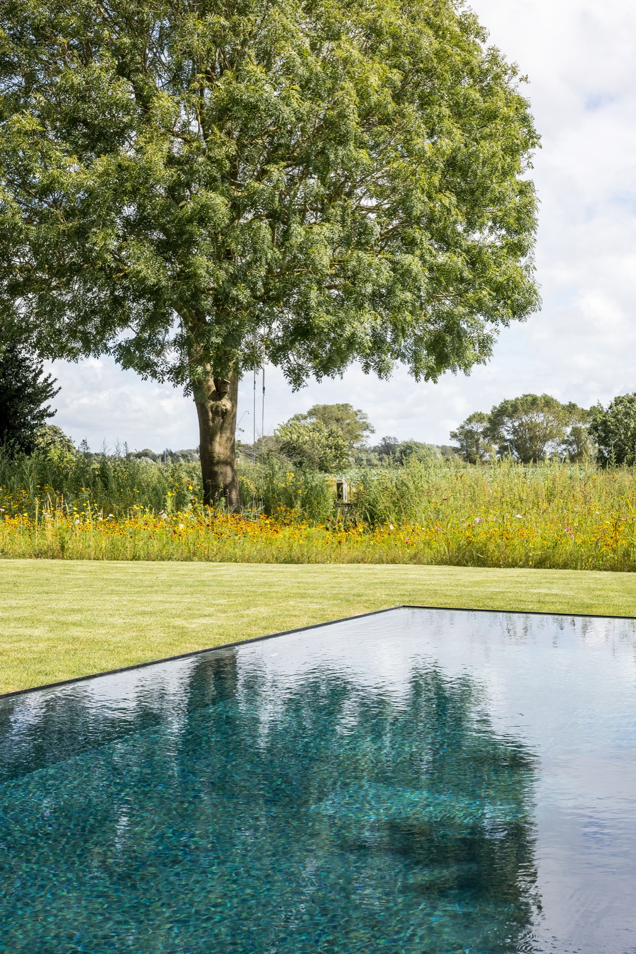 esempio progetto ristrutturazione casa: grande giardino con piscina, prato e alberi, Luxury, Design, Exclusive, Modern, Custom Made, Special, Beautiful