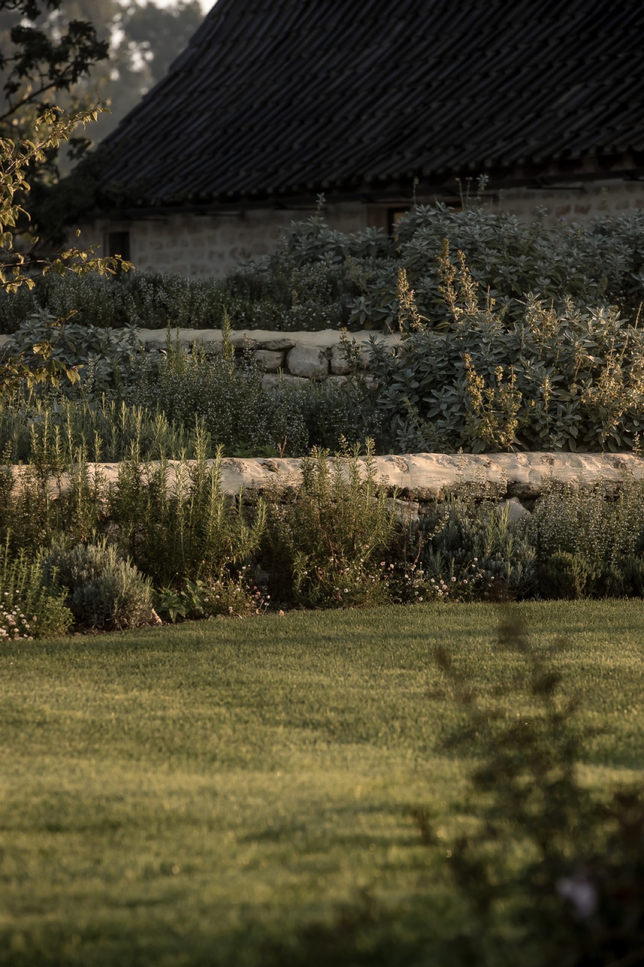 paesaggio rurale: mattina nebbiosa sopra campi e colline, luce morbida del mattino, Luxury, Design, Exclusive, Modern, Custom Made, Special, Beautiful