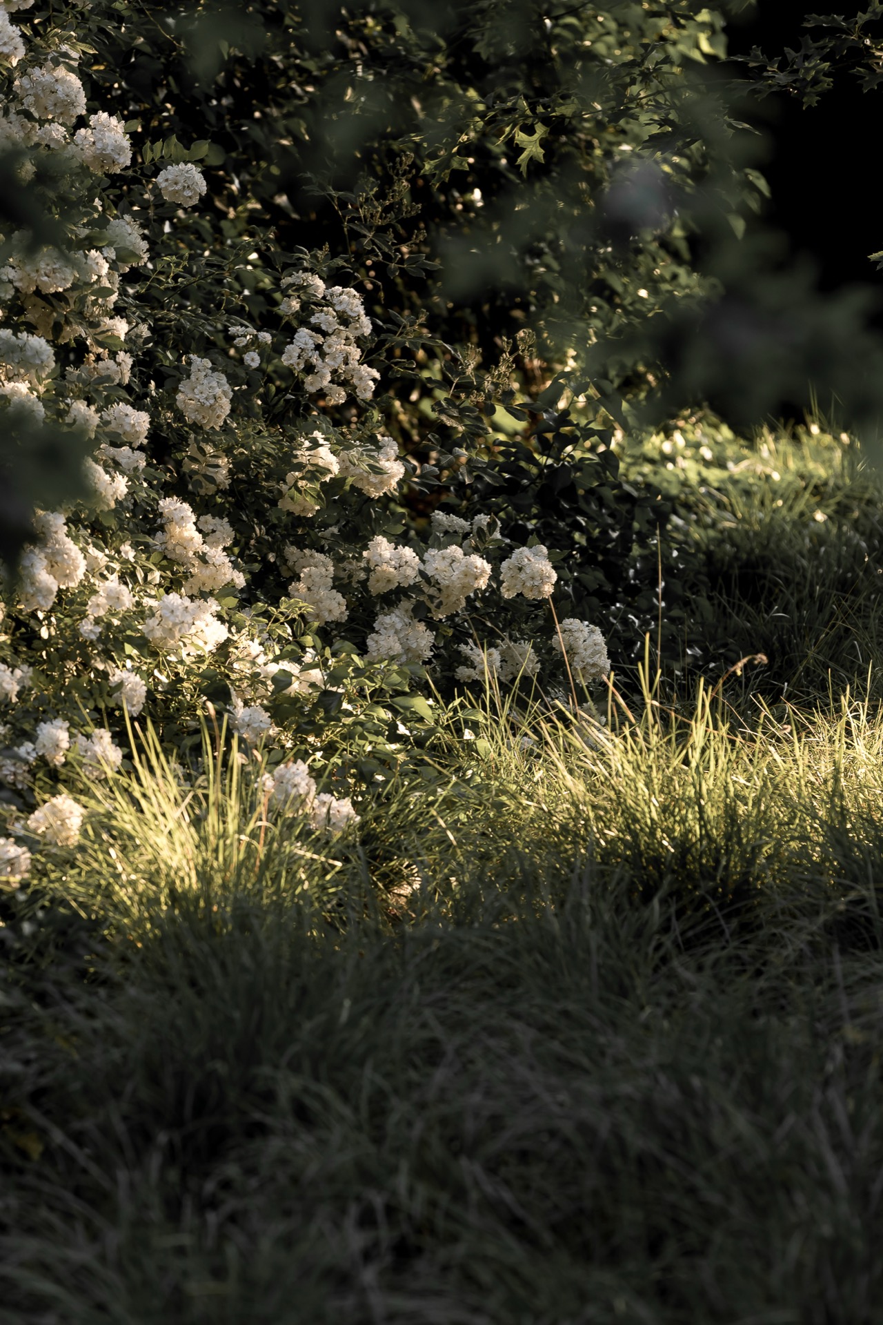 giardino rurale, Luxury, Design, Exclusive, Modern, Custom Made, Special, Beautiful
