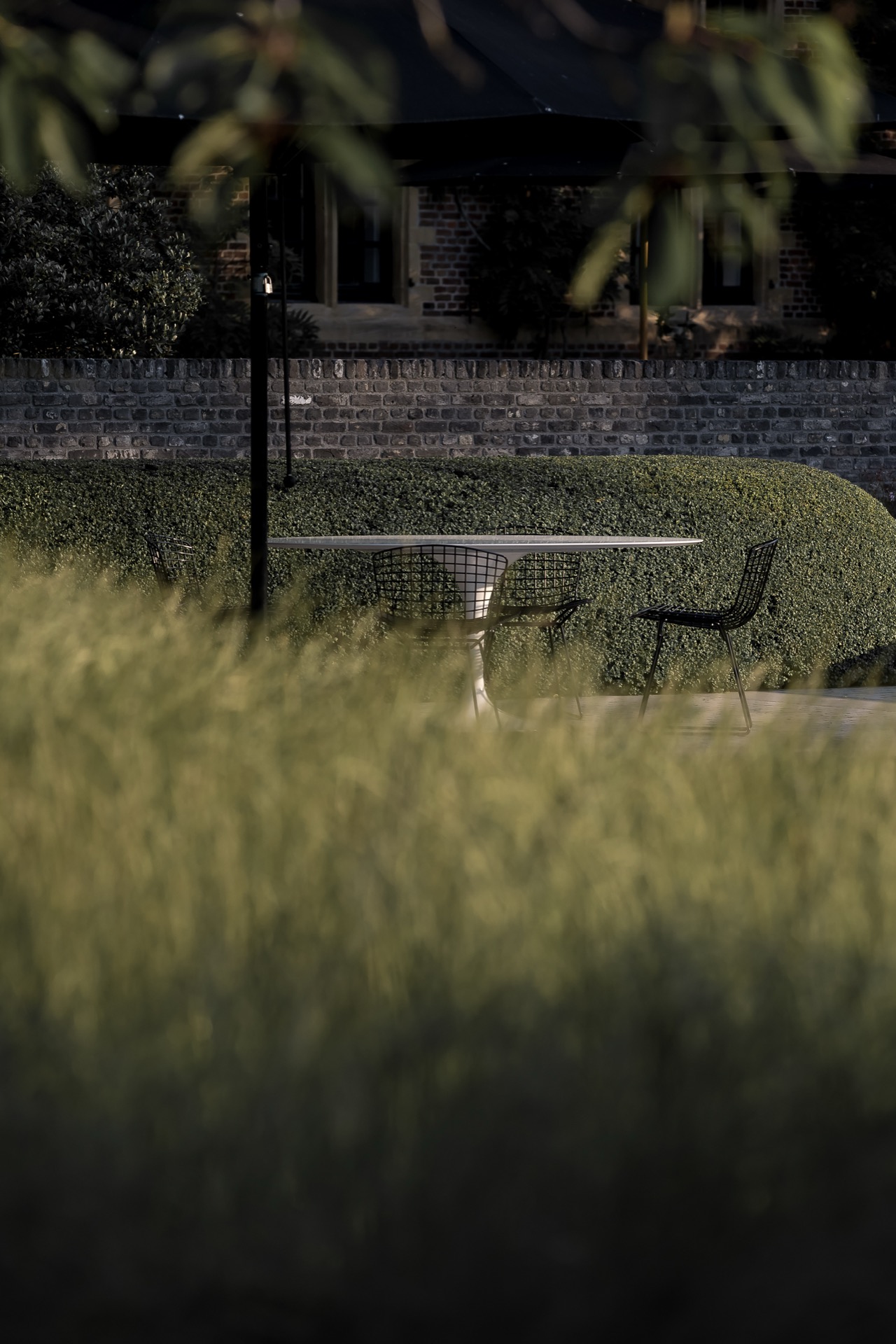 giardino rurale: albero e arbusto vicino all'acqua nel giardino, Luxury, Design, Exclusive, Modern, Custom Made, Special, Beautiful