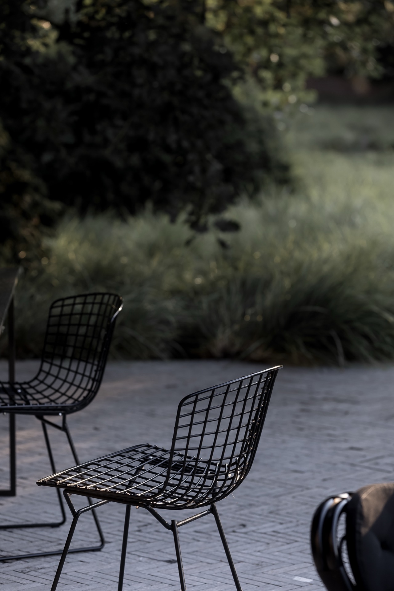 giardino rurale: alberi e arbusti collegati nel giardino, Luxury, Design, Exclusive, Modern, Custom Made, Special, Beautiful