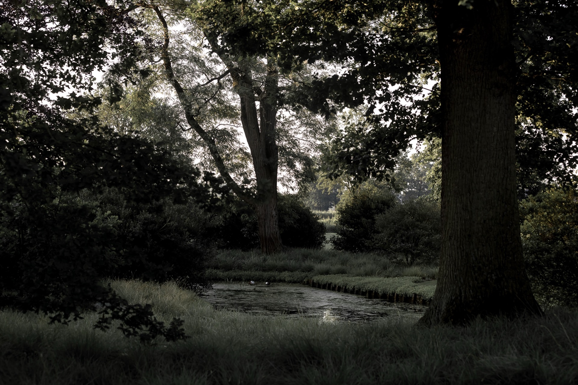 giardino rurale, Luxury, Design, Exclusive, Modern, Custom Made, Special, Beautiful