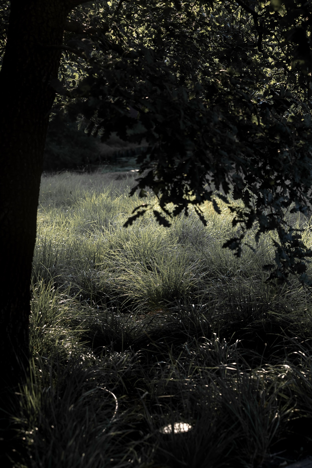giardino rurale, Luxury, Design, Exclusive, Modern, Custom Made, Special, Beautiful