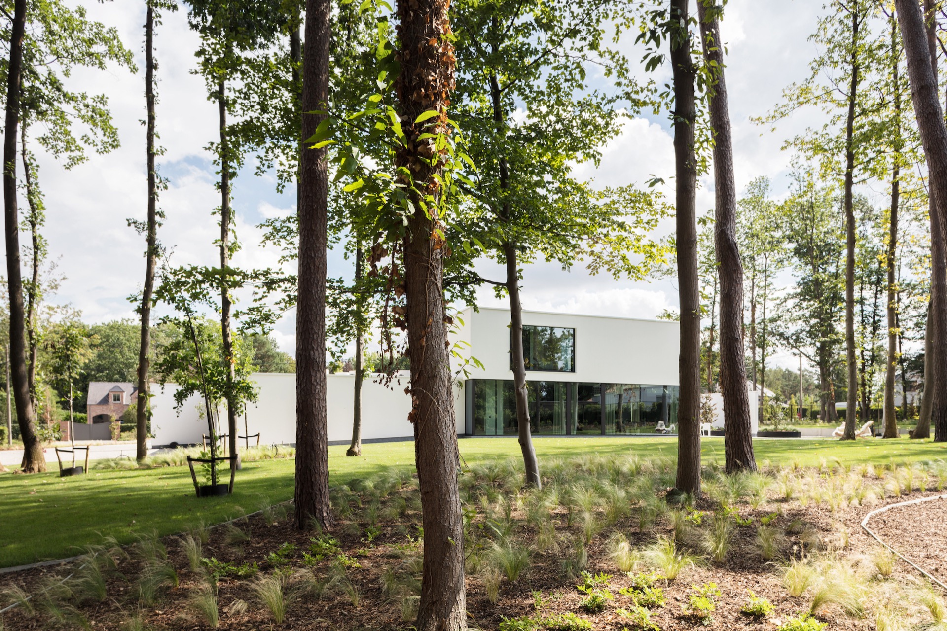 bois bardage extérieur: villa blanche moderne entourée de grands arbres et pelouse verte, Luxe, Design, Exclusief, Modern, Maatwerk, Bijzondere, Mooie