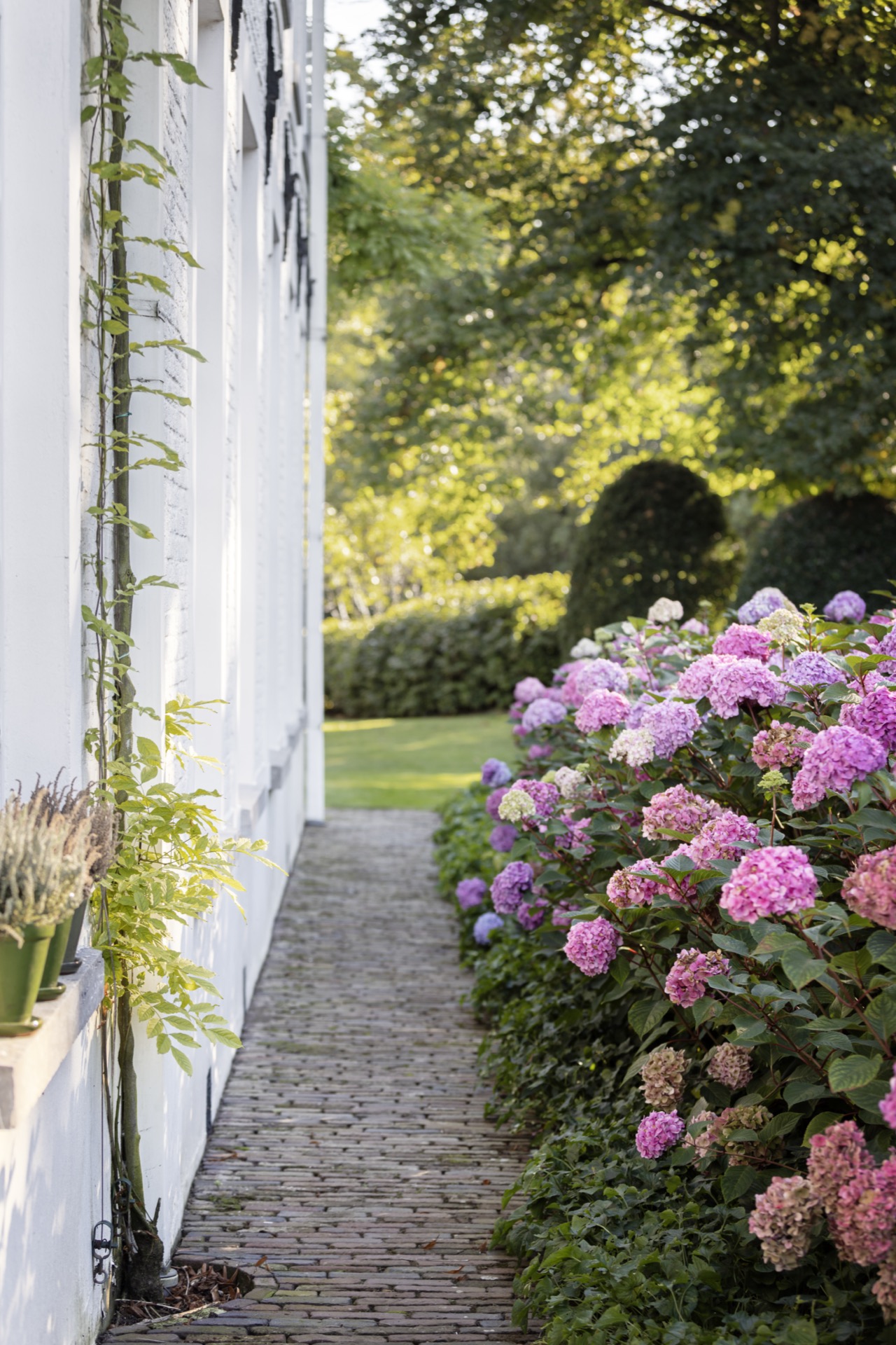 Luxe, Design, Exclusief, Modern, Maatwerk, Bijzondere, Mooie