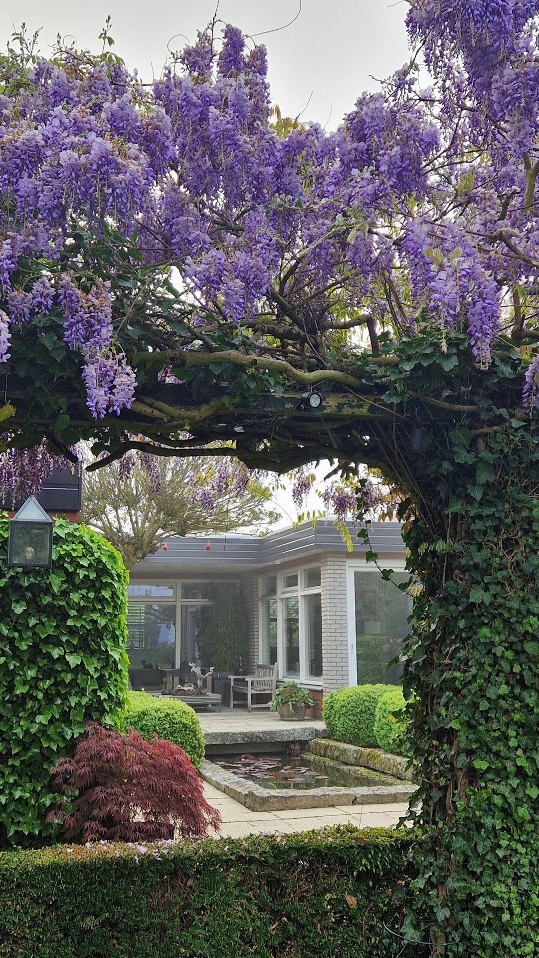 luxe tuin, groene tuin, landelijke groene tuin, Luxury, Design, Exclusive, Modern, Custom Made, Special, Beautiful