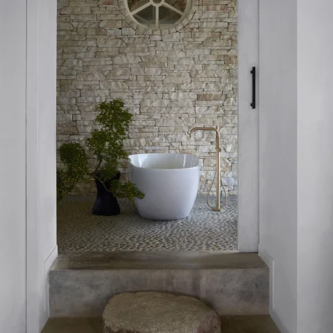 Plantagewoning The Ray