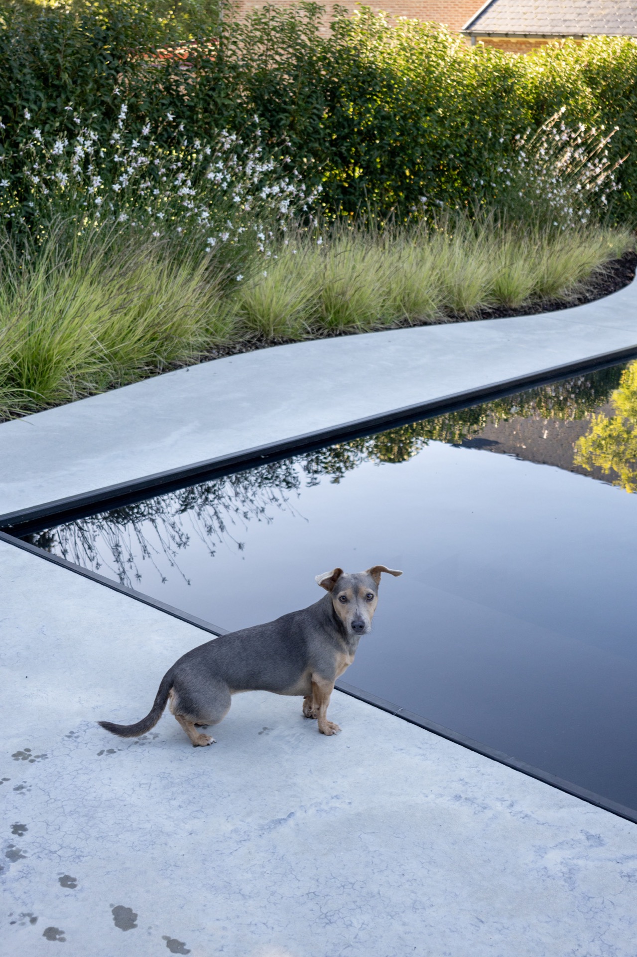 Luxury, Design, Exclusive, Modern, Custom Made, Special, Beautiful