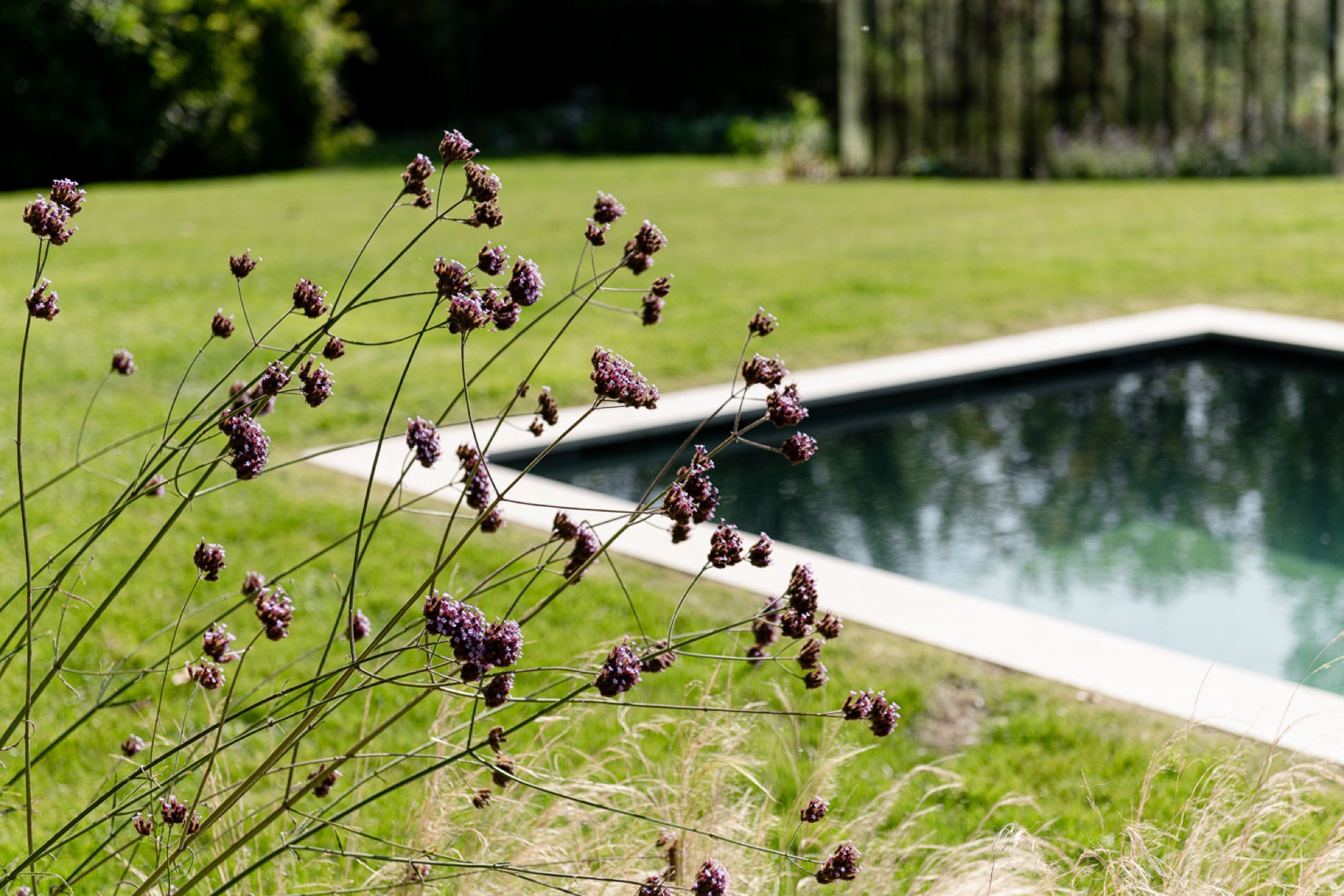 Luxury, Design, Exclusive, Modern, Custom Made, Special, Beautiful