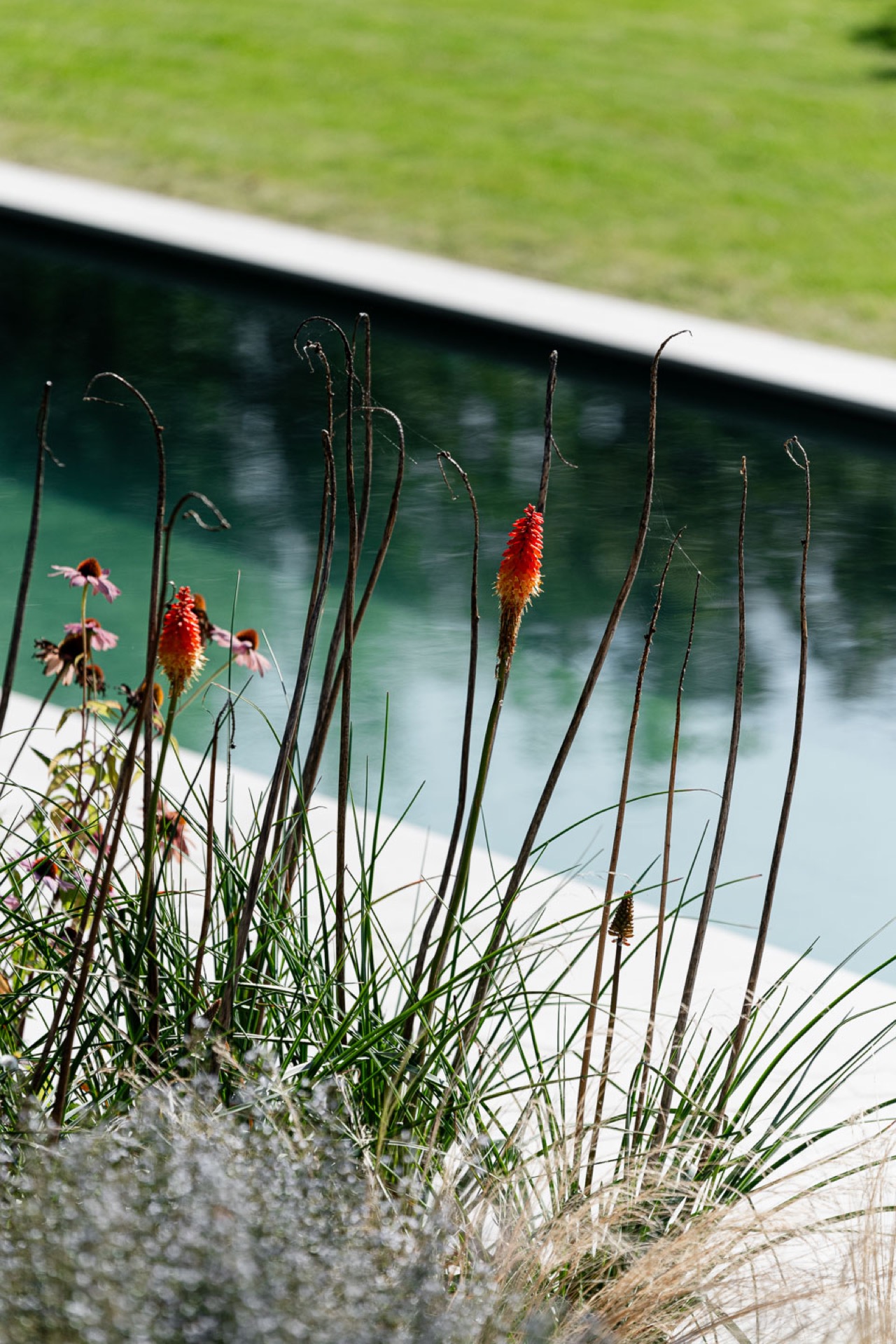 Luxury, Design, Exclusive, Modern, Custom Made, Special, Beautiful