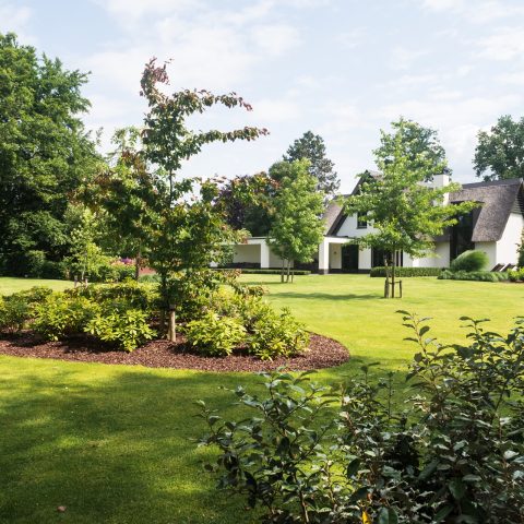luxe tuin, design tuin, moderne tuin, luxe groene tuin, Luxe, Design, Exclusief, Modern, Maatwerk, Bijzondere, Mooie