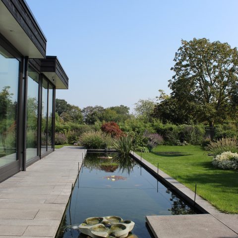 Groene tuin bij moderne villa