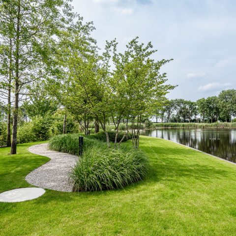 Modern Landscape