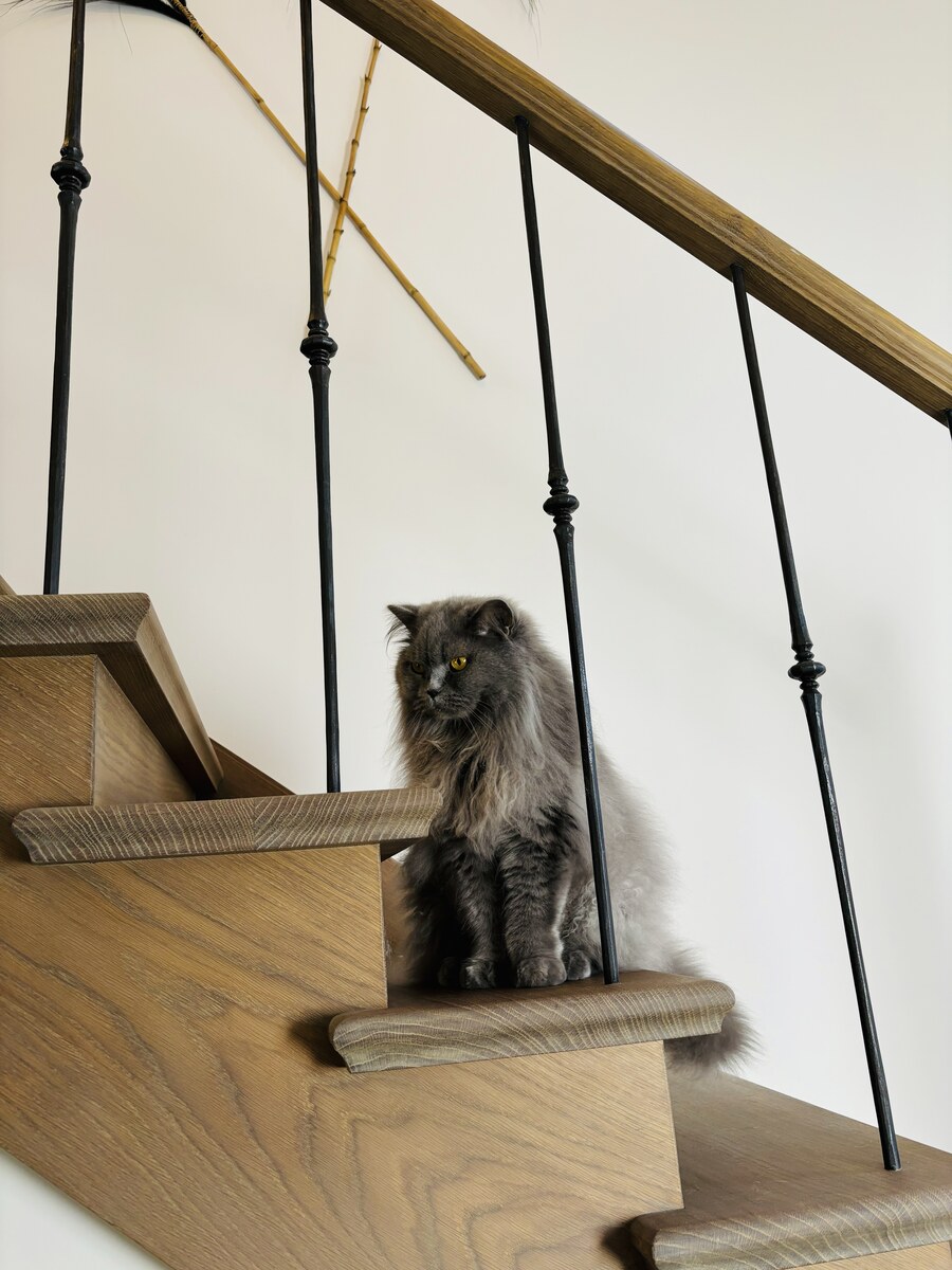 Luxury, Design, Exclusive, Modern, Custom Made, Special, Beautiful